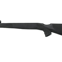 Adv Tech Sks Monte Carlo Stock