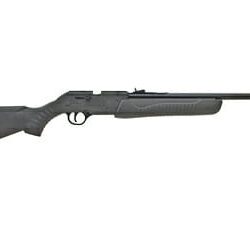 Daisy Powerline Model 901 Rfl