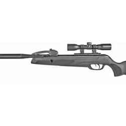 Gamo Swarm Whisper .177 W/Scp
