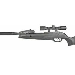 Gamo Swarm Whisper .22 W/Scp