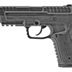 Gamo P-430 177 Pel/Bb Pistol 495 Fps