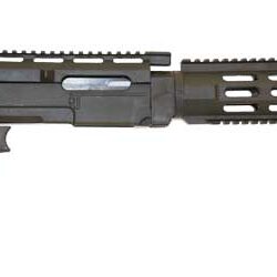 Archangel 10/22 Ars Pistol Pkg Blk