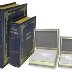 Ps Diversion Books - Set Of 2