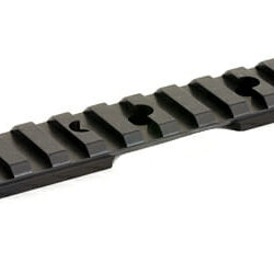Ruger Mkiii Mkiv & 22/45 Pic Base