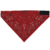 Red Paisley