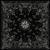 Black Paisley