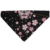 Black Sugar Blossom
