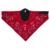 Red Paisley