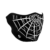 Spider Web