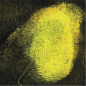 TapeGlo