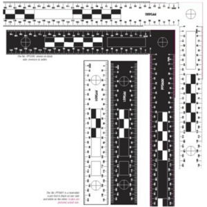 Reversible Scales (Set of 2) PPS600 & PPS601
